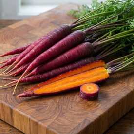 Dragon, Carrot Seeds